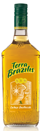 pic_terrabrazilis.png